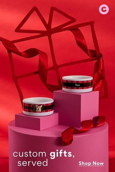 A high-end, studio-style shot featuring two personalized pet bowls on pedestal displays, framed by a red gift bow graphic.