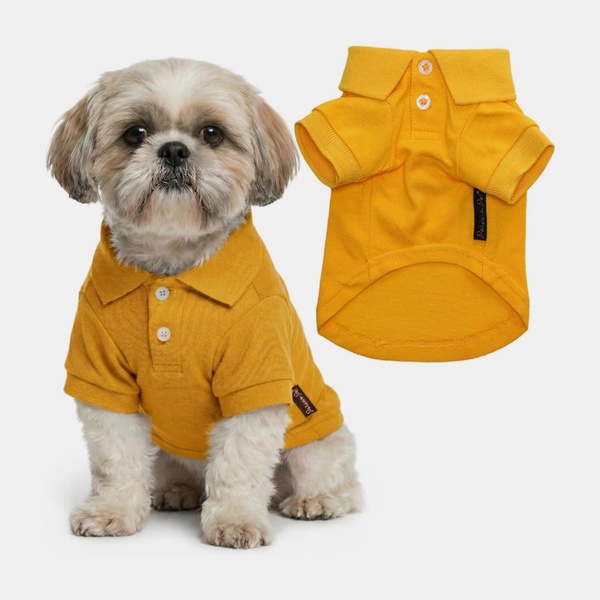 dog polo shirt, pet clothing, dog shirt, dog apparel, pet outfit, dog clothes, new arrival, product launch, minimalist, lifestyle, playful, warm, yellow, neutral