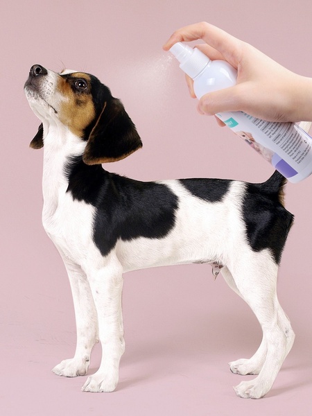 dog grooming spray, pet deodorizing spray, dog coat spray, pet grooming mist, dog detangling spray, dog perfume spray, product launch, brand awareness, lifestyle, minimalist, fresh, calm, pink, neutral