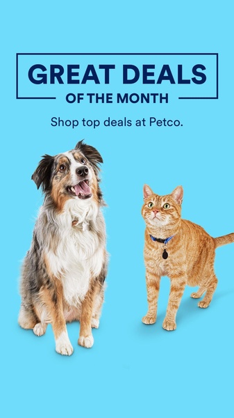 A clean, high-contrast promotional ad featuring a dog and cat against a solid light blue background with a clear call-to-action for shoppers.