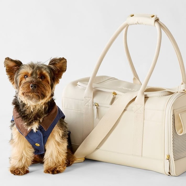 A clean, high-key studio shot featuring a small dog posing next to a premium beige pet travel carrier to highlight product scale and quality.