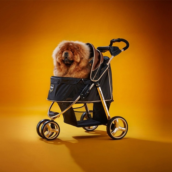 A high-quality studio shot featuring a Chow Chow sitting inside a premium pet stroller against a vibrant orange background.