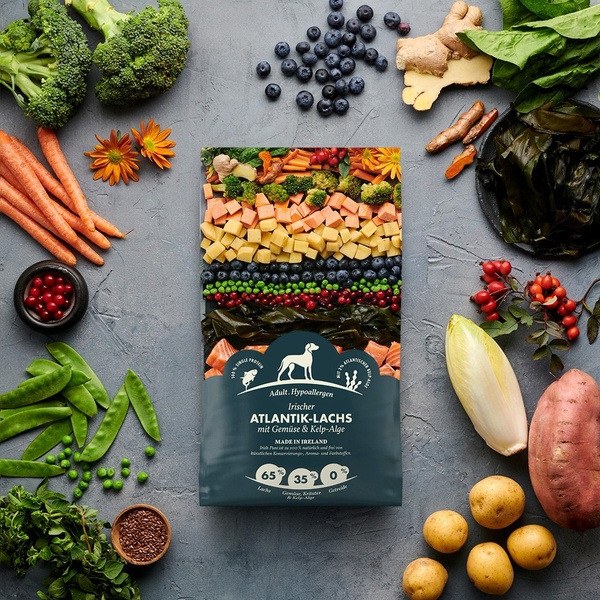 A high-quality 1:1 flat lay photography style featuring a central dog food bag surrounded by raw ingredients like broccoli, salmon, berries, and root vegetables.