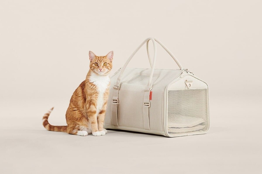 A high-end, clean-background product hero shot of a modern pet carrier positioned next to an orange cat.