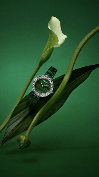 diamond watch, luxury watch, dress watch, gemstone watch, bracelet watch, designer watch, product launch, brand awareness, editorial, minimalist, luxurious, fresh, green, neutral