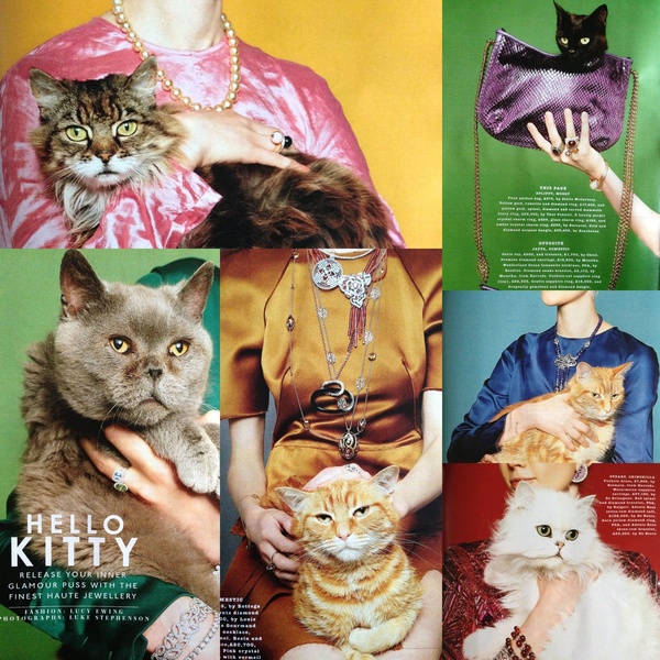 A high-fashion editorial spread featuring cats modeling various pieces of fine jewelry, blending luxury accessories with whimsical animal portraits.