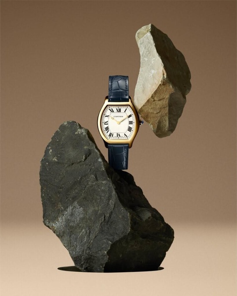 wrist watch, leather strap watch, luxury watch, analog watch, gold watch, brand awareness, minimalist, editorial, luxurious, calm, neutral, brown
