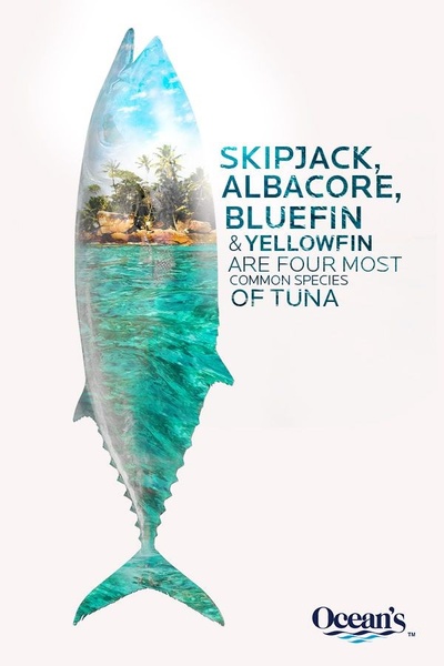 A clever double-exposure creative that masks an island ecosystem within the silhouette of a tuna fish, creating a strong association with natural sourcing.