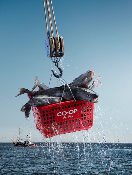 A high-impact, surrealist visual showing a grocery store shopping basket being lifted directly from the ocean, implying extreme freshness.