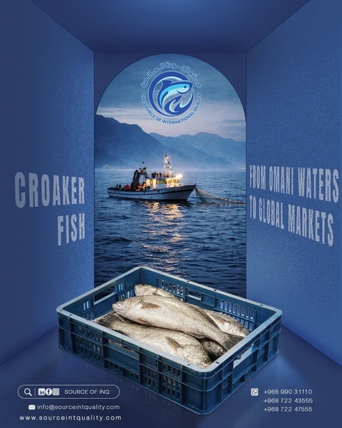 A visually striking ad displaying fresh Croaker fish in a blue plastic crate, set against a backdrop of a fishing vessel at sea, highlighting global distribution.