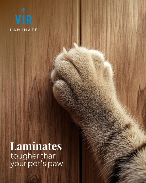 A close-up of a cat paw with sharp claws resting on a wood laminate surface, visually demonstrating the scratch-resistant durability of the product.