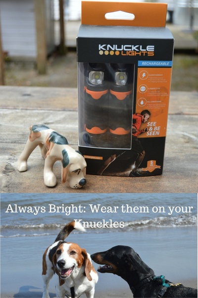 This two-part creative displays the Knuckle Lights product packaging alongside a lifestyle shot of dogs being walked at night, emphasizing safety and visibility.