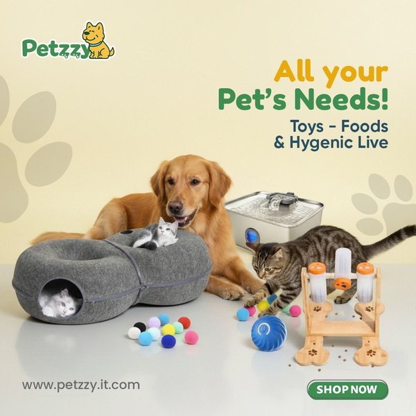 A 1:1 square ad creative displaying a variety of pet supplies including a pet bed, water fountain, and interactive puzzle toys for cats and dogs.
