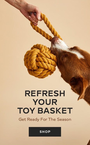This ad features a clean, studio-lit close-up of a dog playing with a rope toy against a neutral background, focusing on the texture and utility of the product.