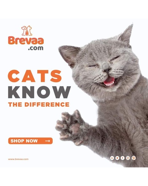 A 4:5 aspect ratio ad featuring a smiling cat to deliver a bold product claim about quality.