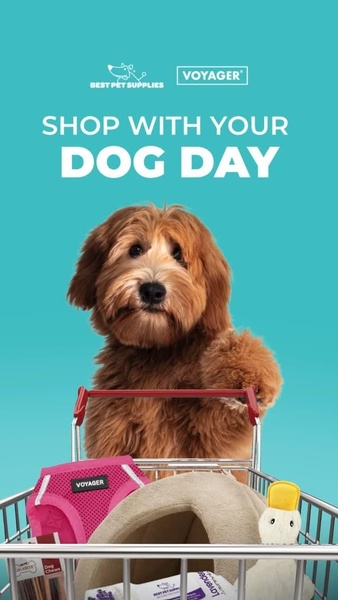 Shop With Your Dog Day