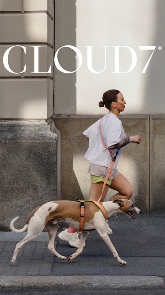 A high-energy, outdoor lifestyle shot of a dog wearing a branded harness while running alongside its owner.