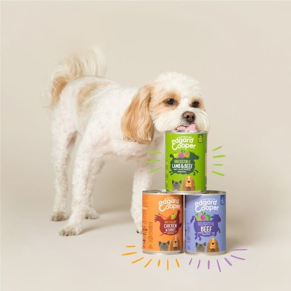 A high-quality 1:1 image featuring a dog sitting next to a stacked display of three different pet food cans, using colorful hand-drawn accents.