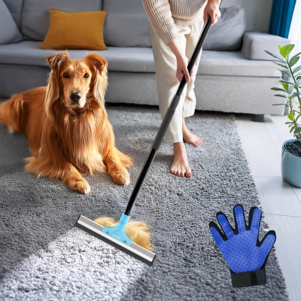 The Carpet Squeegee Demonstration