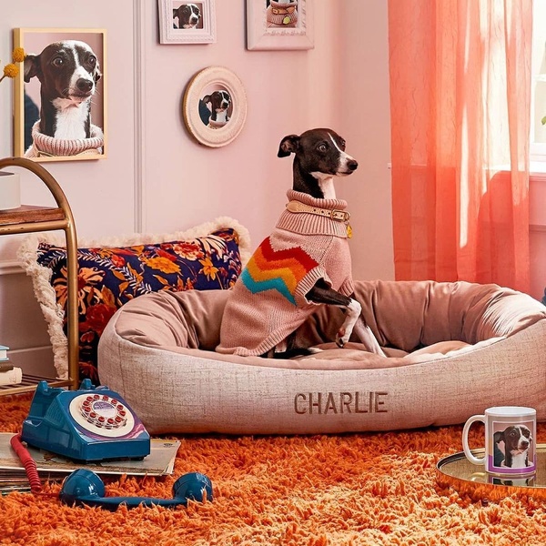 A high-quality lifestyle shot featuring a Whippet in a personalized dog bed, styled with vintage accents and warm, coordinated color tones.