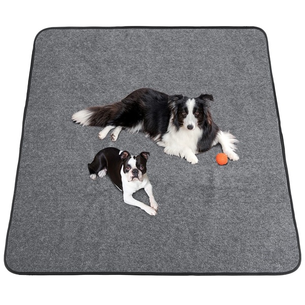 A high-clarity 1:1 square photograph featuring two dogs resting on a grey pet blanket, emphasizing product usability and cleanliness.