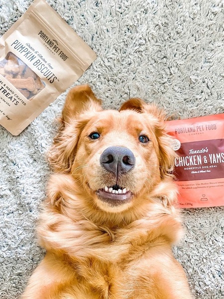 A top-down, first-person perspective showing a happy dog framed by two bags of premium pet food on a neutral-toned carpet.
