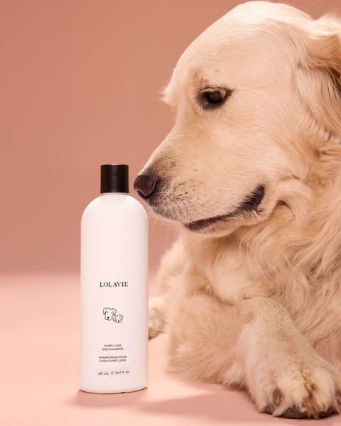 This high-performing dog shampoo ad creative features a clean, minimalist product shot paired with an emotionally grounded pet presence.