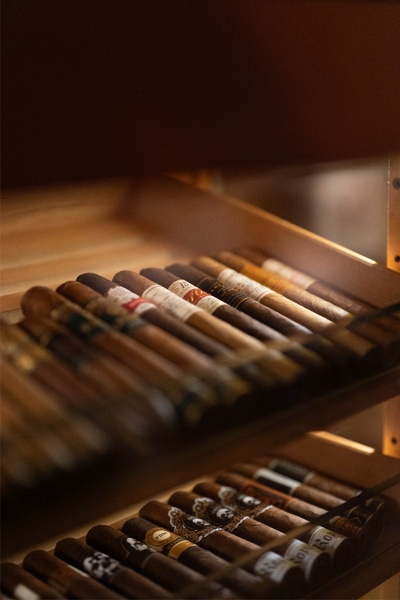 A close-up, low-light shot of a humidor shelf showcasing a variety of high-quality cigars with a shallow depth of field effect.