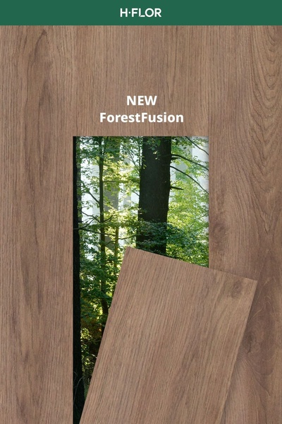 A high-quality product visualization showcasing a wood plank transitioning into a lush forest scene to emphasize natural origins.