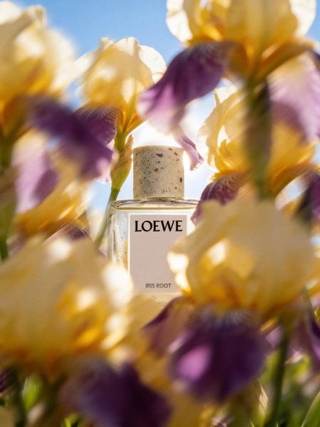 perfume bottle, fragrance bottle, scent bottle, perfume, cologne, brand awareness, editorial, lifestyle, calm, fresh, yellow, purple, neutral