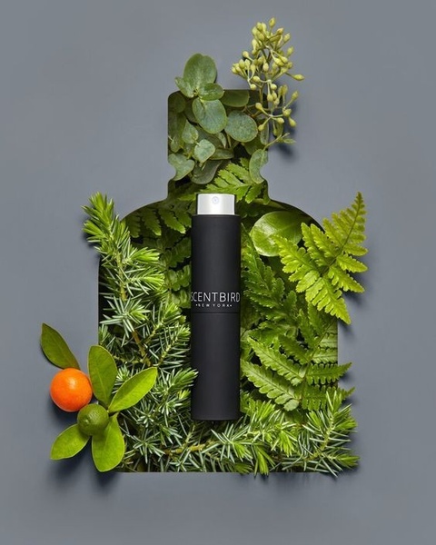 perfume, cologne, fragrance, scent, perfume spray, new arrival, minimalist, flat lay, fresh, calm, green, neutral