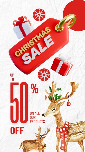 Christmas Sale Holiday Promotion