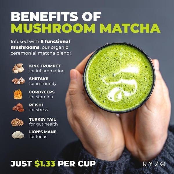 Mushroom Matcha Benefits Breakdown