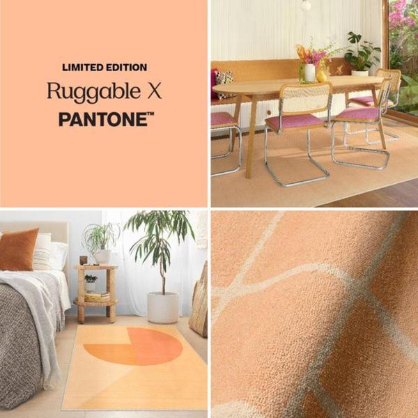 A split-screen design showcase featuring a peach-toned limited edition area rug in multiple home interior settings.