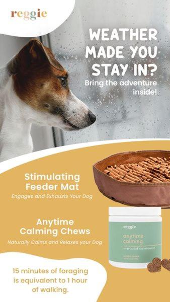 This ad creative positions a dog stimulator feeder mat and calming chews as an indoor solution for rainy days, highlighting the equivalence of mental work to physical exercise.