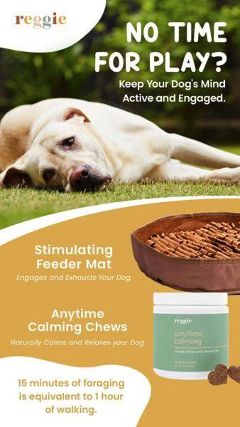 This ad creative utilizes a problem-solution structure, contrasting the pain of a busy owner with the mental benefits of calming chews and feeder mats for dogs.