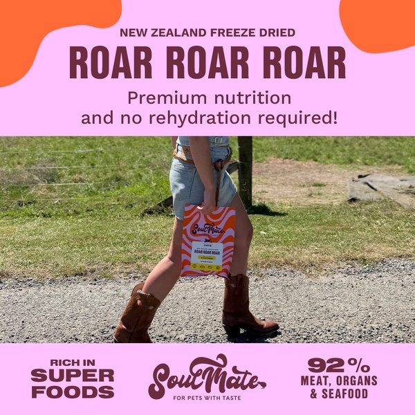 A 1:1 square ad creative for Soul Mate freeze dried pet food, featuring a bold, high-contrast pink and orange color palette and direct value proposition text.