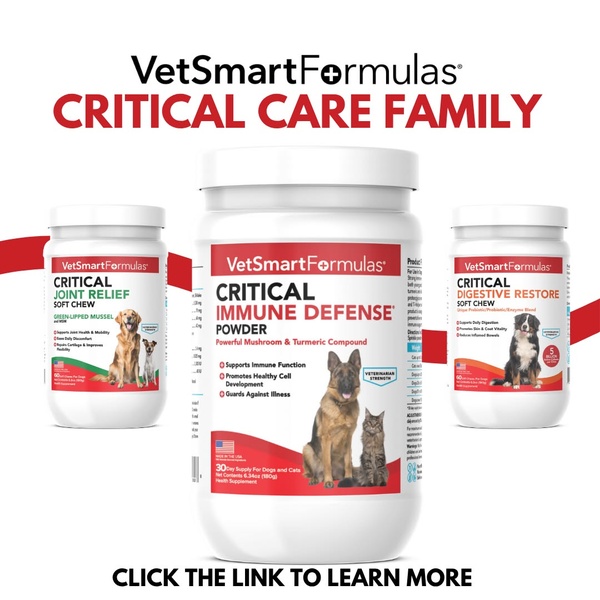 A clear, professional product lineup featuring three supplement variants centered on critical pet health care, using white space for high visibility.