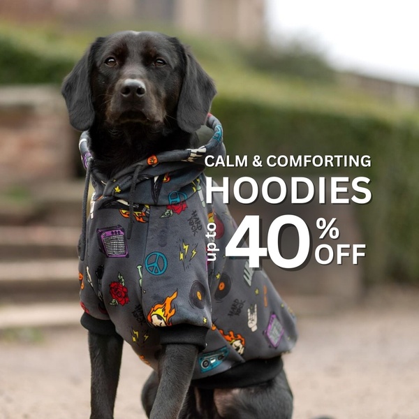 dog hoodie, pet sweatshirt, dog clothing, dog apparel, pet hoodie, discount offer, holiday sale, lifestyle, playful, calm, neutral, grey