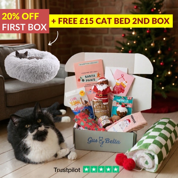 A 1:1 square ad featuring a cat subscription box, a free cat bed offer, and a cozy, holiday-themed background with a cat in the frame.