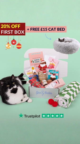A festive product bundle creative showcasing a subscription box offer with an included free cat bed.