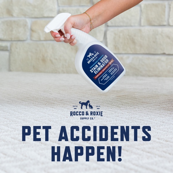 A close-up photograph showing a hand holding a cleaning spray bottle directly over a carpet, clearly identifying the pet-owner problem.