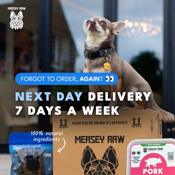 This creative uses a direct, relatable hook addressing customer forgetfulness regarding pet food orders, paired with a clear, benefit-driven service promise.