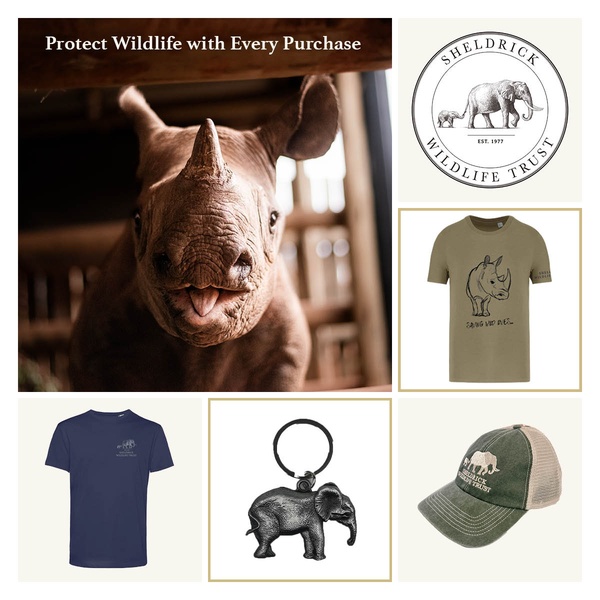 graphic t-shirt, cotton t-shirt, wildlife t-shirt, baseball cap, logo keychain, charity apparel, brand awareness, bestseller push, minimalist, lifestyle, calm, trustworthy, neutral, green, blue