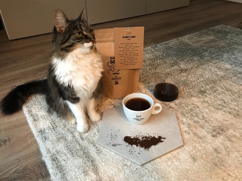 A high-quality product hero shot featuring premium coffee beans, a brewed cup, and a cat, all set against a neutral, home-focused background.