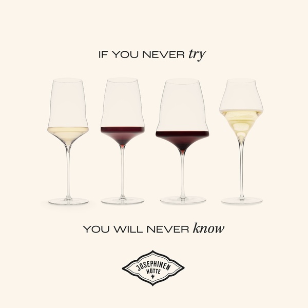 A clean, high-contrast studio shot featuring four distinct styles of wine glasses to demonstrate aesthetic variety.