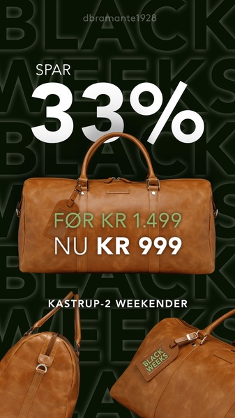 A high-contrast, text-heavy 9:16 vertical creative showcasing a weekender bag with a clear 33% off value proposition and pricing callout.