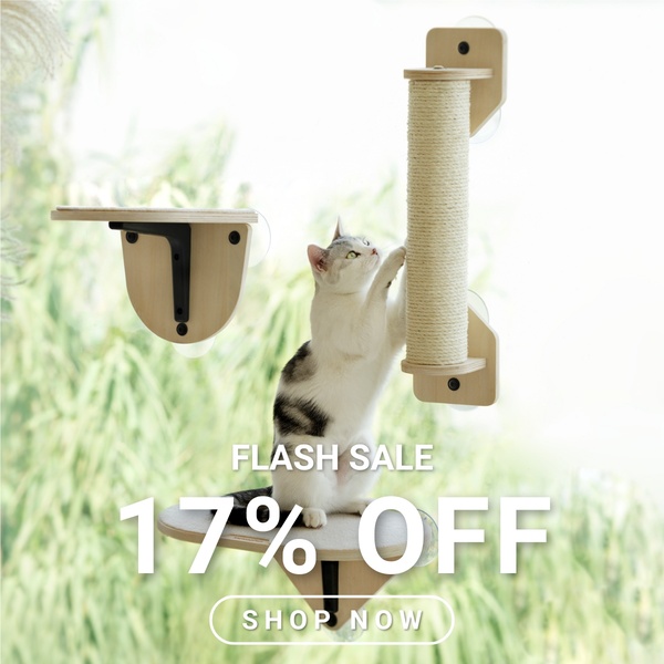 A high-clarity square ad creative showcasing a cat on a wall-mounted perch with an immediate 17% off flash sale offer.