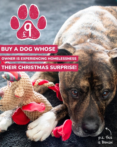 This ad creative features a high-contrast close-up of a dog with a toy, using an emotional narrative to drive engagement for a charitable product offer.