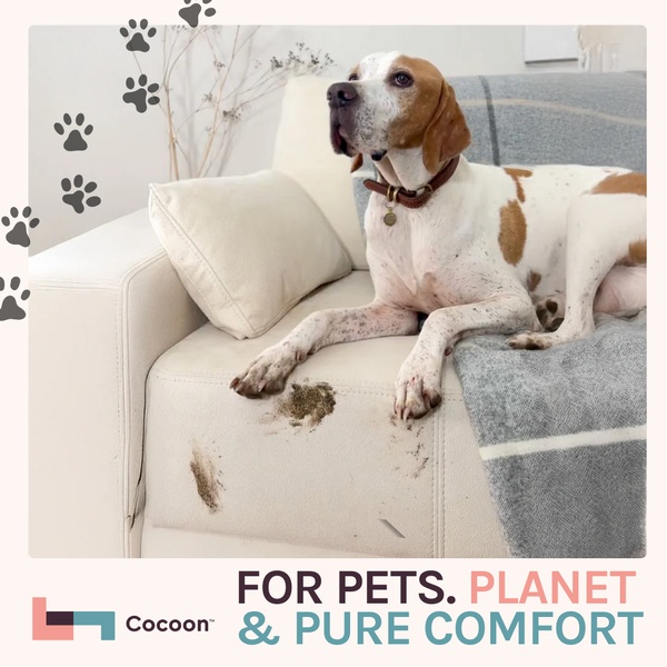 A high-quality product photo showing a dog on a light-colored sofa with paw prints, illustrating a clear pet-related problem solved by the brand.